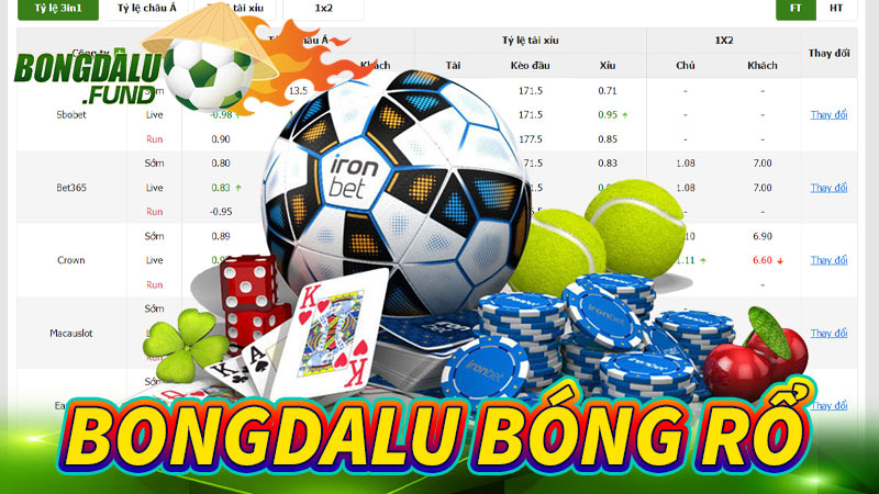 Bongdalu bóng rổ