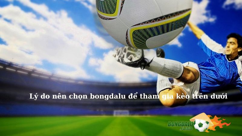 Lý do nên chọn bong da lu để tham gia kèo trên dưới